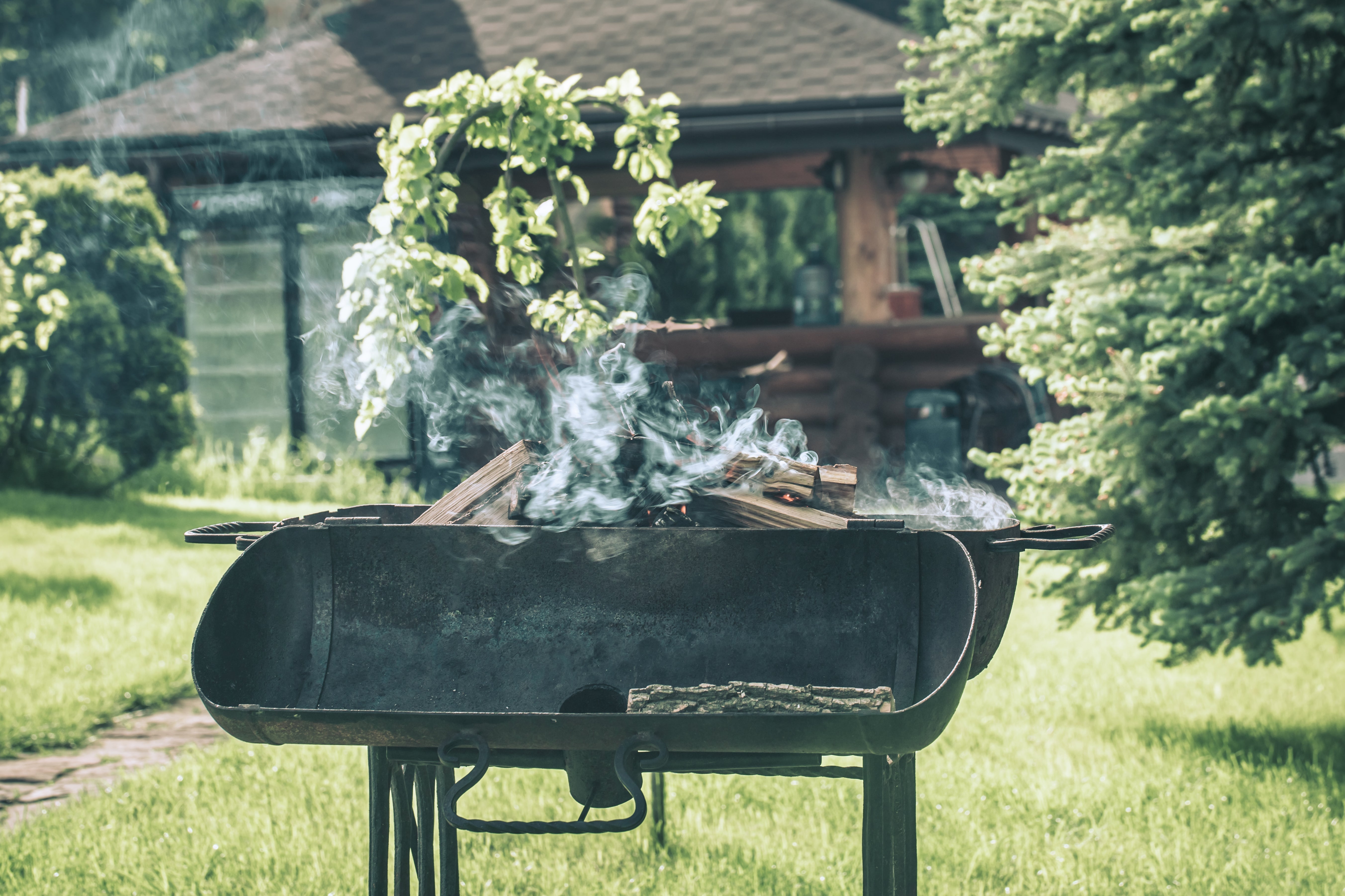 Enjoying A Backyard Cookout During Quarantine