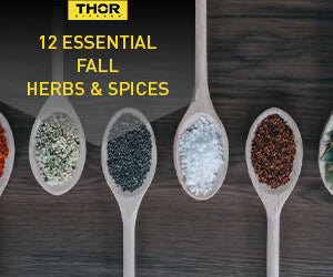 12 Essential Fall Herbs and Spices