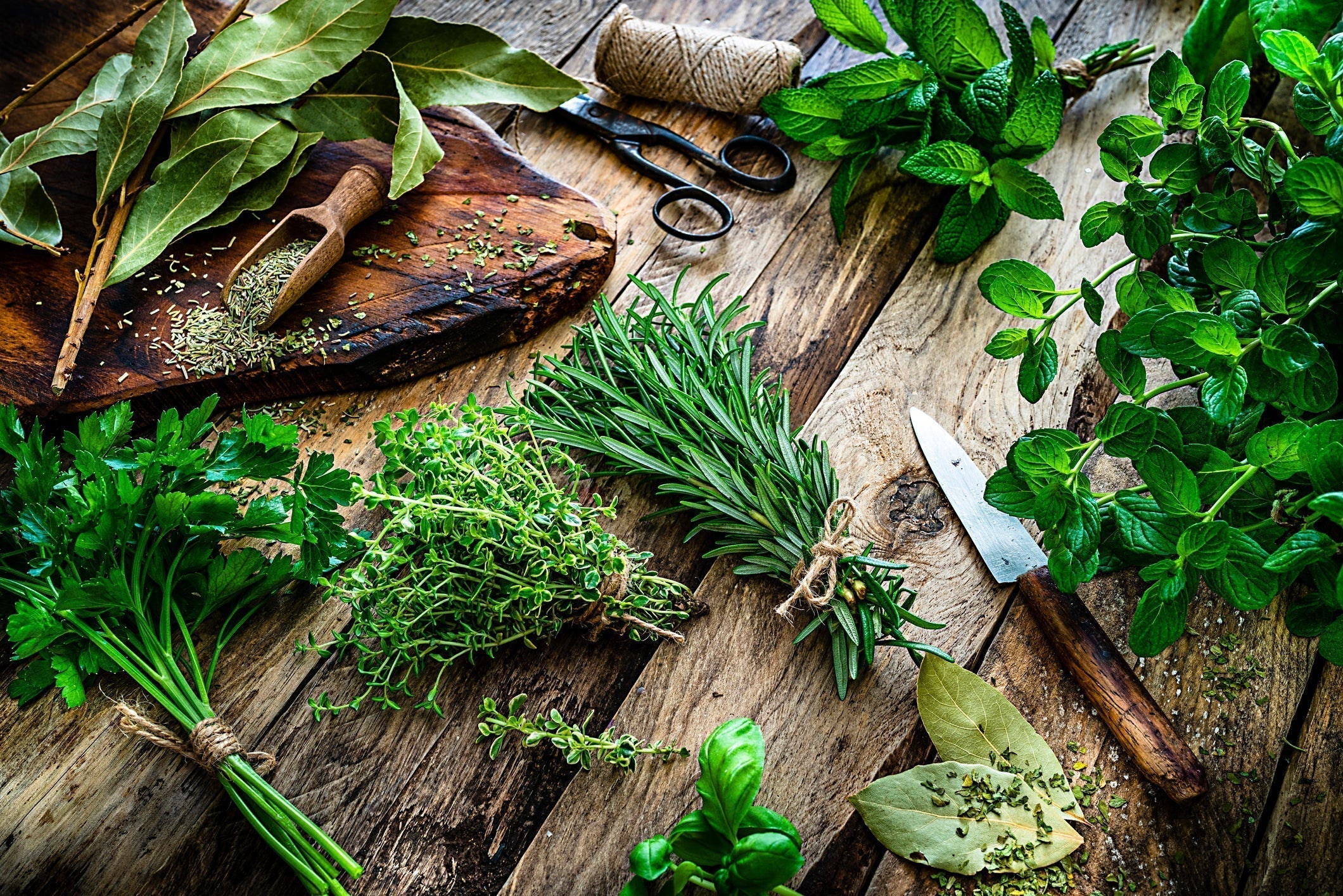 Celebrate National More Herbs Less Salt Day on Aug 29