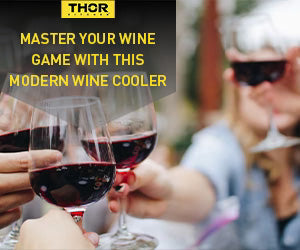 Master Your Wine Game with this Modern Wine Cooler