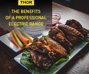 The Benefits of a Professional Electric Range